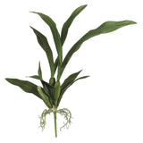 Artificial Oncidium orchid leaf bush with roots.   Silk orchids. Green Plant