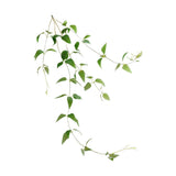 Decorative Artificial Plant Harvest Party Wreath Ivy Vine Leaves Green Plant