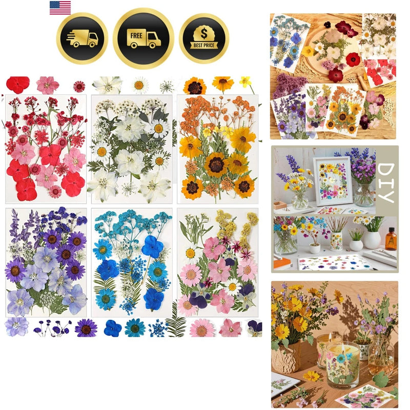 103-piece set of natural dried flowers and leaves for resin crafting