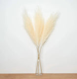 Artificial Faux Pampas Grass Large - 3 Stems Ivory Beige -  43" long Pampas Grass
