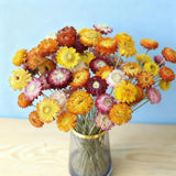 20 PCS Natural Dried Daisy Flowers Bouquet - Multicolor Dried Daisy Sunflowers, Dried Flower