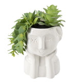 Fake Succulents Plants Artificial Succulents in Ceramic Pots Fake Potted Plan... Green Plant