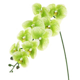 1-Pack Artificial Orchid Flowers 9 Large Petals for Home[Dark Green] Green Plant