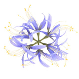 Artificial Flower Heads (7 Inch, Purple) 1 PCS - Spider Lily Silk Flowers Lily