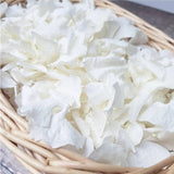 1500Pcs Real Dried Ivory White Hydrangea Flower Petals - Natural smal Petals ... Hydrangea