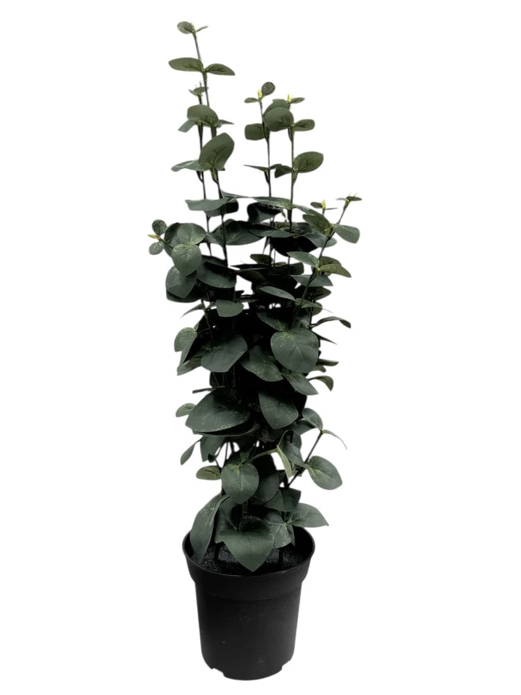 New IKEA FEJKA Artificial Potted Plant Eucalyptus 15 cm (6 ") 404.523.68 Green Plant