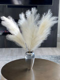 Artificial Pampas, Beige, hand made, six 110 cm beige with 18 branches, dŽcor Pampas Grass