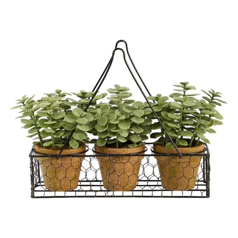 Nearly Natural 7" Mini Jade Garden Artificial Plant with Brown Hanging Planter Green Plant
