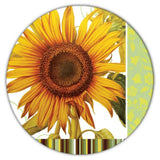 Gift Coaster : Sunflower Flower Floral Yellow Decor For Her Feminine Sunflower