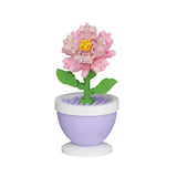 Carnations Mini Flower Bonsai DIY Potted Plant Building Blocks Flower Seasons... Carnation
