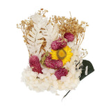 NaturalÊDriedÊFlowerÊSet,ÊDriedÊPressedÊFlowers (White) Dried Flower