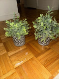 Two Faux Plants, Modern Green Plant