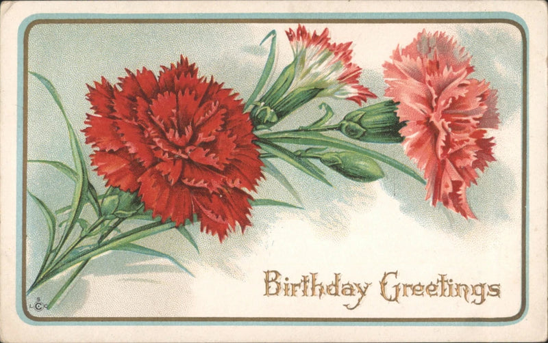 Vintage birthday postcard with red carnation flowers and “Birthday Greetings” text