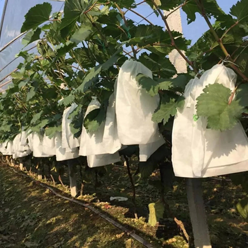 White mesh plant fruit cover bags for protecting trees from birds and insects