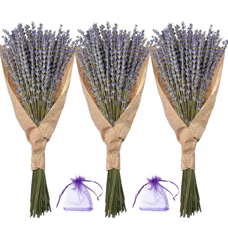 3 Packs Natural dried lavender bouquets, perfect for DIY projects. Dried Flower