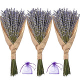 3 Packs Natural dried lavender bouquets, perfect for DIY projects. Dried Flower