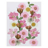 Dried Pressed Flowers Natural Leave Real Pressed Flowers Pink Series Dried Flower