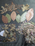 Real Dried Flowers And Pressed Leaves for Crafts, Natural  Mixed Dried Flower