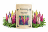500+ Russell Lupine Seeds Ð Mixed Color Tall Perennial Flower Seeds for Planting Garden Plants
