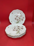 Mitterteich Daisy Bell 10 1/2" Dinner Plates Daisies