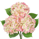 3Pcs Pink Hydrangea Artificial Flowers 19.7 in Real Touch Faux Hydrangea Stem... Hydrangea
