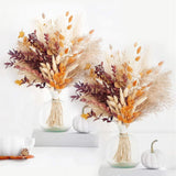 Fall Decor Autumn Decorations for Home - Boho Flowers Orange Pampas Grass Dec... Pampas Grass