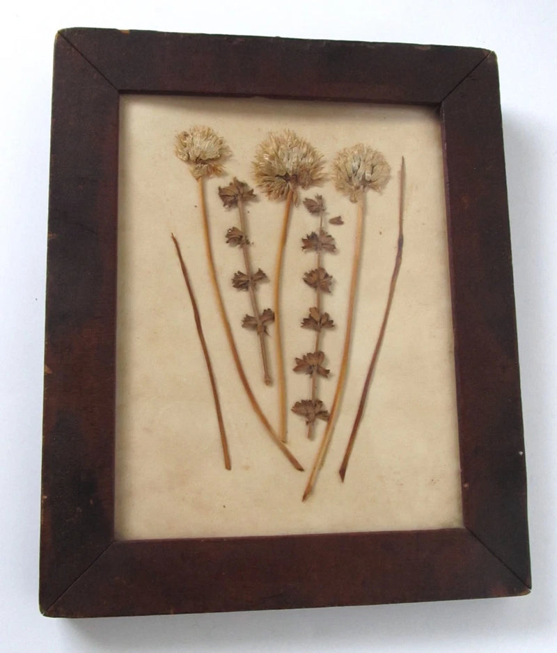 Mahogany wood picture frame with dried flower botanical collage on beige background