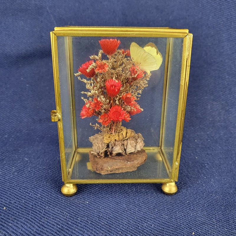 Small dried flower curio with glass front, gold frame, four feet, red blooms and butterfly