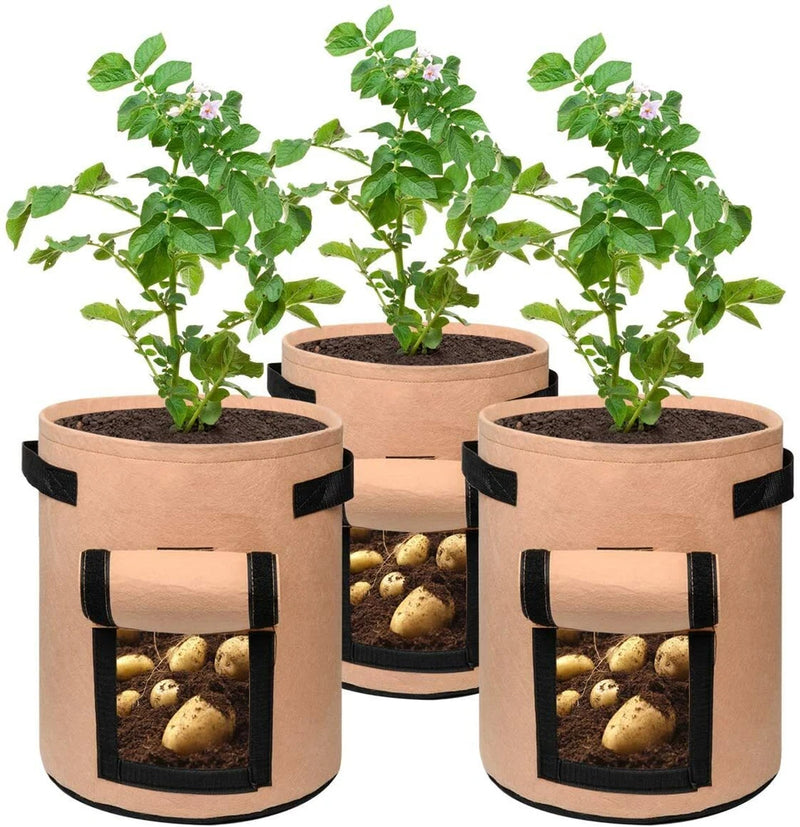 Three 7-gallon tan fabric grow bags with black straps and mesh window panels