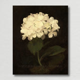 Vintage White Hydrangea Flower Painting Giclee Fine Art Paper Print Hydrangea