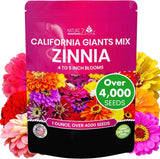 Zinnia Seeds for Planting Outdoors Ð California Giants Flower Seeds, Bulk Semill Flowering Plants