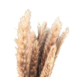 15 PCS Natural Dried Reed Grass Bouquet Home Wedding Decor Dried Flower