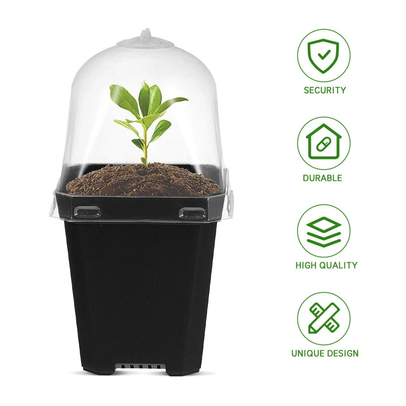Plant propagation nursery pot with clear dome and seedling tray, black