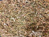 Mix No.18 Damiana Wild Lettuce Skullcap Passionflower Marshmallow Mullein Dried Flower