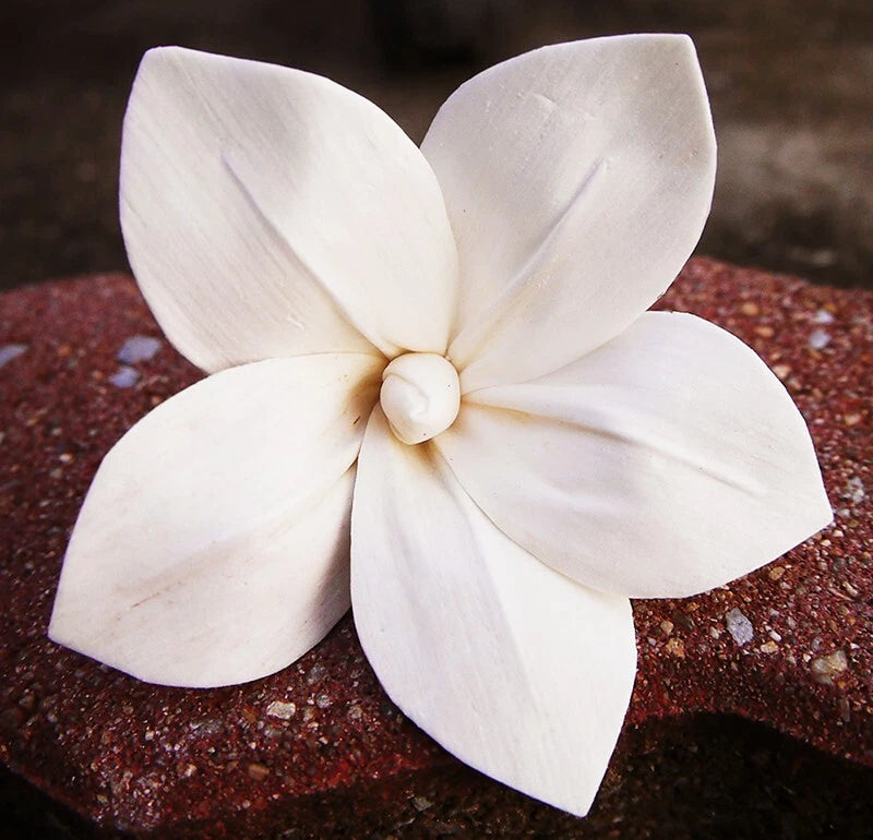 9 Frangipani Artificial Sola Wood Flower Diffuser Flowers 8 cm Dia. For Craft Sunflower