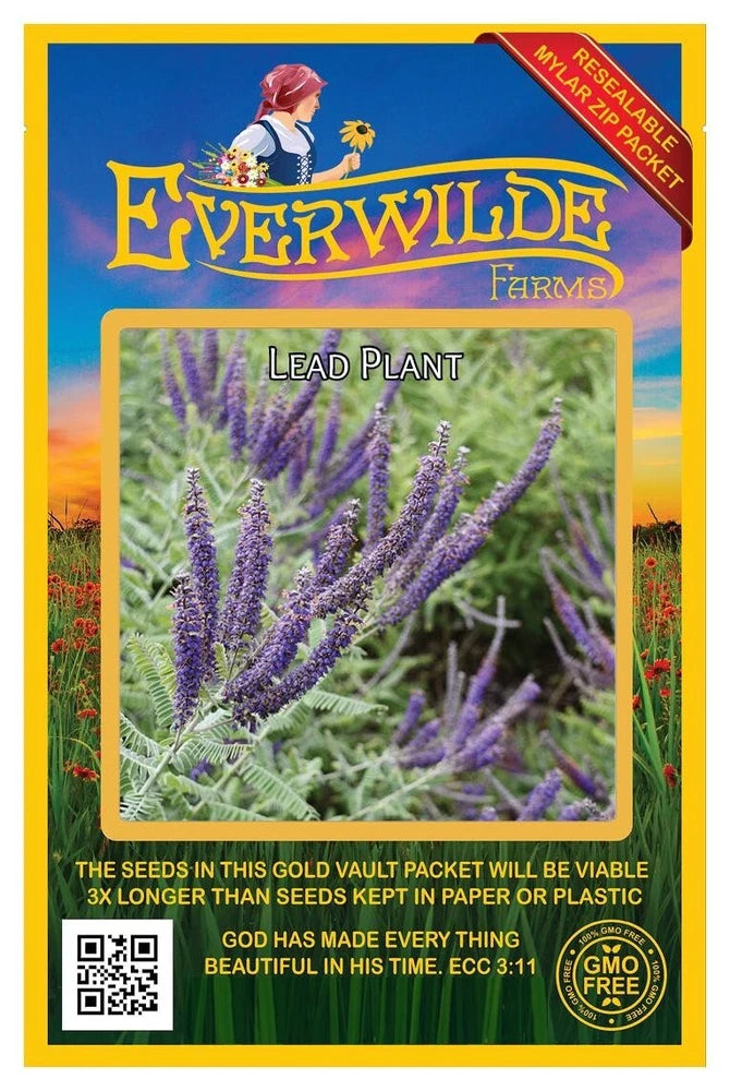 800 Lead Plant Wildflower Seeds - Everwilde Farms Mylar Seed Packet Flowering Plants