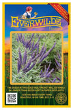 800 Lead Plant Wildflower Seeds - Everwilde Farms Mylar Seed Packet Flowering Plants