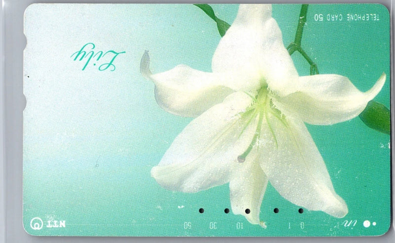 NTT Telephone Phone Card Vintage Japanese Rare - Lily Lilies Flower Beautiful Lily
