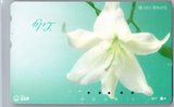 NTT Telephone Phone Card Vintage Japanese Rare - Lily Lilies Flower Beautiful Lily