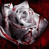 50PCS White Blood Rose Plant Flower Seeds Fragrant Garden Flower Perennial Flowering Plants