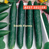 15+ Seeds Viridis Cucumber Easy Vegetable Garden Planting Edible Garden Plants