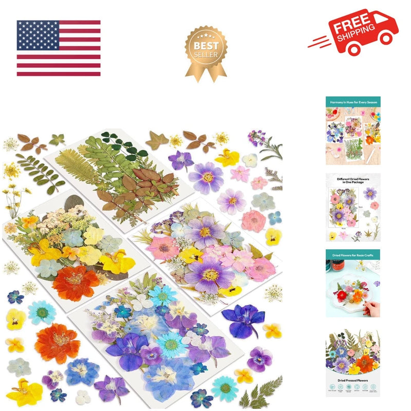 Pressed dried flower set with mixed small blooms and leaves, assorted colors