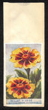 Oeillet D'Inde Carnation D India French Flower Seed Packet Unused c1900-1920 Carnation