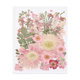 50 Pcs Dried Pressed Flower Leaves Bulk for Resin, Pink Fairy Dried Flower