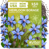 150 Borage Seeds (Borago Officinalis) - Blue Strawflower, Edible Flower for Teas Garden Plants