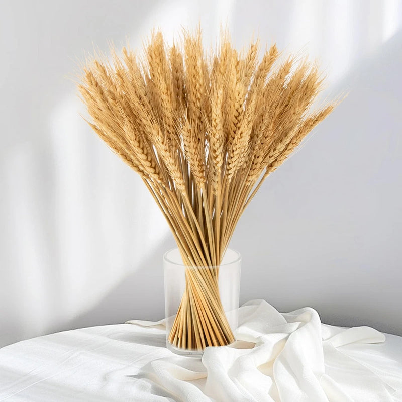 Dried wheat stalk sheaf bunch, natural tan grain heads and slender stems