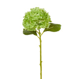 Raz Imports, 19" Real Touch Hydrangea - Green (F4541999) Hydrangea