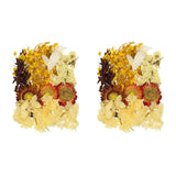 2 Sets NaturalÊDriedÊFlowerÊSet,ÊDriedÊPressedÊFlowers (Yellow) Dried Flower
