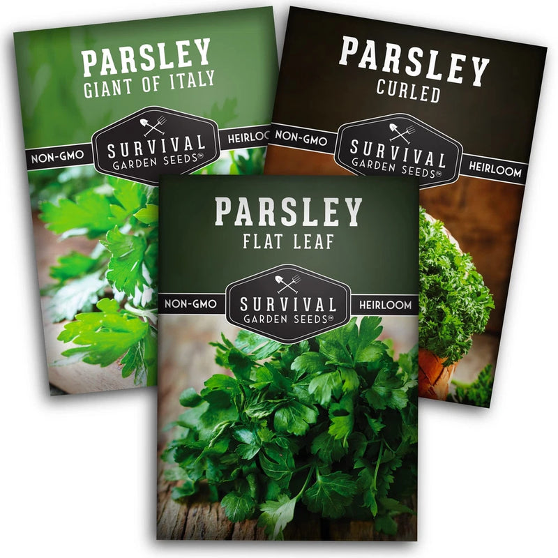 Parsley Seed Collection Ð 3 Varieties Italian Giant, Curly, Flat Leaf Parsley... Garden Plants