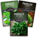 Parsley Seed Collection Ð 3 Varieties Italian Giant, Curly, Flat Leaf Parsley... Garden Plants